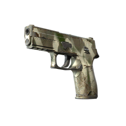P250 | Bone Mask (Field-Tested)
