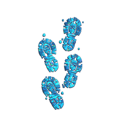 Sticker | CT Tracks (Glitter)